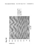 ANTAGONIST ANTIBODY FOR THE TREATMENT OF CANCER diagram and image