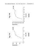 ANTAGONIST ANTIBODY FOR THE TREATMENT OF CANCER diagram and image