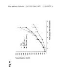 ANTAGONIST ANTIBODY FOR THE TREATMENT OF CANCER diagram and image