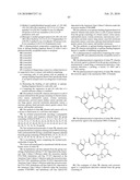 ANTAGONIST ANTIBODY FOR THE TREATMENT OF CANCER diagram and image