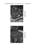 Drug Carriers, Their Synthesis, and Methods of Use Thereof diagram and image