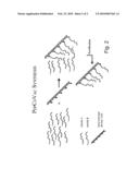 NOVEL METHOD FOR DOWN-REGULATION OF AMYLOID diagram and image