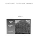 Graft collar and scaffold apparatuses for musculoskeletal tissue engineering and related methods diagram and image