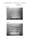 Graft collar and scaffold apparatuses for musculoskeletal tissue engineering and related methods diagram and image