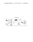 Graft collar and scaffold apparatuses for musculoskeletal tissue engineering and related methods diagram and image