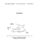 Graft collar and scaffold apparatuses for musculoskeletal tissue engineering and related methods diagram and image