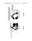 NOVEL PROTEIN HAVING AN EGF-LIKE REPEAT SEQUENCE diagram and image