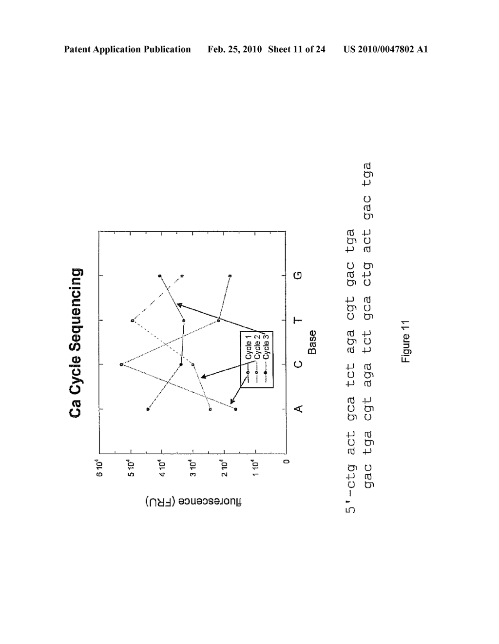 NUCLEIC ACID SYNTHESIS COMPOSITIONS AND METHODS AND SYSTEMS FOR USING SAME - diagram, schematic, and image 12