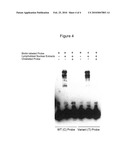 BIOMARKERS FOR ACETAMINOPHEN TOXICITY diagram and image