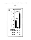 Compositions and Methods for Treating Diseases Associated with T-Box and N-Myc diagram and image