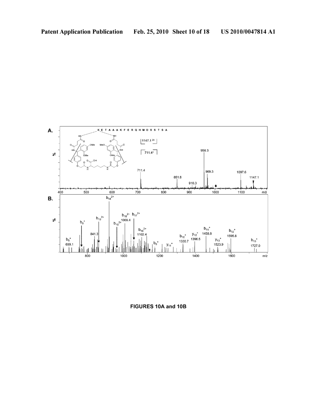 PROTEIN INTERACTION REPORTER AGENTS AND METHODS FOR USING SAME - diagram, schematic, and image 11