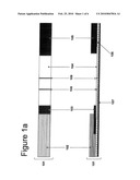 RAPID IMMUNOCHROMATOGRAPHIC DETECTION BY AMPLIFICATION OF THE COLLOIDAL GOLD SIGNAL diagram and image