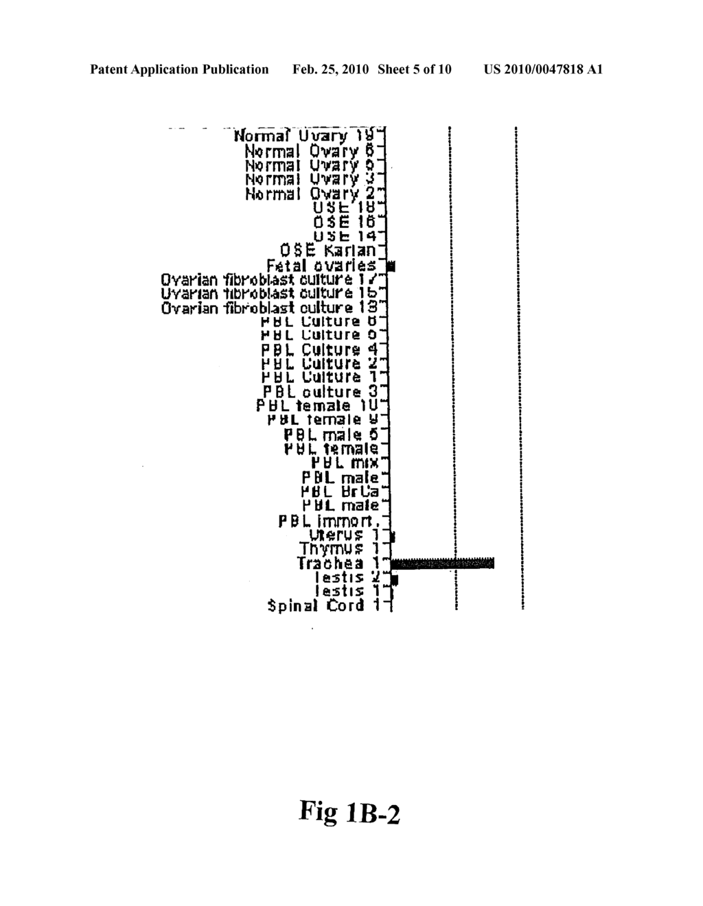 DIAGNOSIS OF CARCINOMAS - diagram, schematic, and image 06