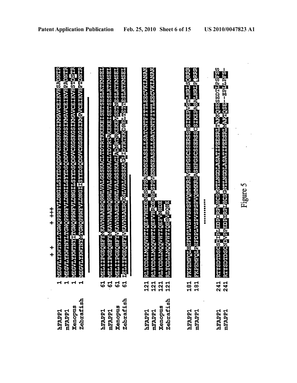 Polypeptides - diagram, schematic, and image 07