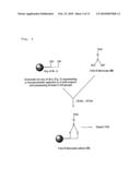 SOLID-PHASE DETECTION OF TERMINAL MONOSACCHARIDES CLEAVED FROM GLYCOSYLATED SUBSTRATES diagram and image