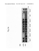 ACTIVATED HER3 AS A MARKER FOR PREDICTING THERAPEUTIC EFFICACY diagram and image