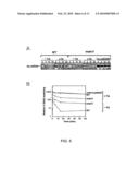 YEAST GENES THAT AFFECT VIRAL REPLICATION diagram and image