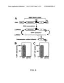 YEAST GENES THAT AFFECT VIRAL REPLICATION diagram and image