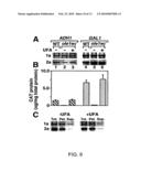 YEAST GENES THAT AFFECT VIRAL REPLICATION diagram and image