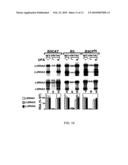 YEAST GENES THAT AFFECT VIRAL REPLICATION diagram and image