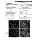 COMPOSITIONS AND METHODS FOR ENHANCING THE GROWTH OF MOUSE EMBRYONIC STEM CELLS diagram and image