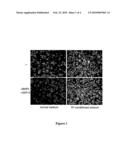 COMPOSITIONS AND METHODS FOR ENHANCING THE GROWTH OF MOUSE EMBRYONIC STEM CELLS diagram and image