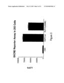 ENDOGENOUS AND NON-ENDOGENOUS VERSIONS OF HUMAN G PROTEIN-COUPLED RECEPTORS diagram and image