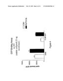 ENDOGENOUS AND NON-ENDOGENOUS VERSIONS OF HUMAN G PROTEIN-COUPLED RECEPTORS diagram and image