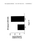 ENDOGENOUS AND NON-ENDOGENOUS VERSIONS OF HUMAN G PROTEIN-COUPLED RECEPTORS diagram and image