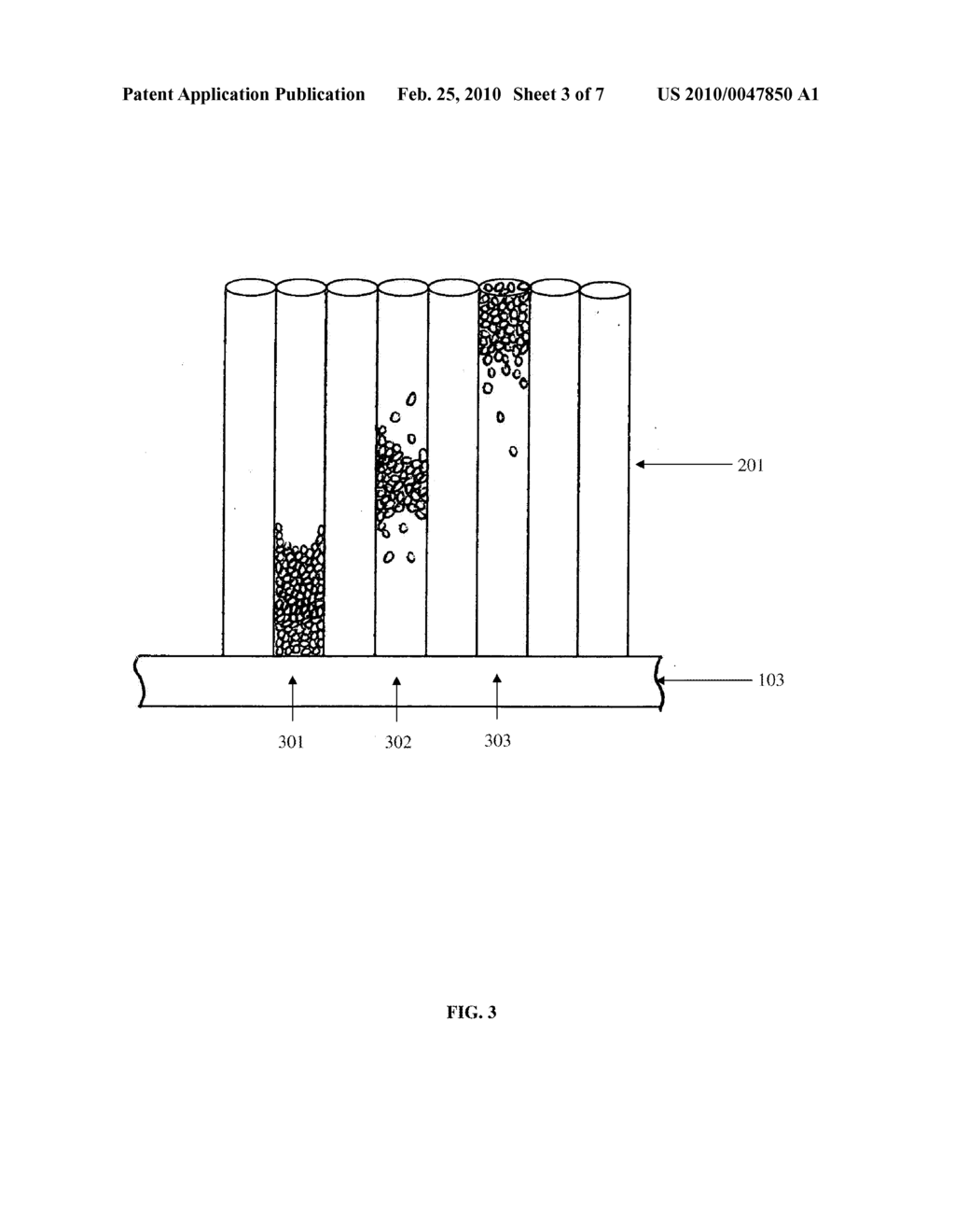 METHOD AND DEVICE FOR RAPID DETECTION OF MICROORGANISMS BY CHANGING THE SHAPE OF MICRO-COLONIES IN MICRO-CHANNELS - diagram, schematic, and image 04