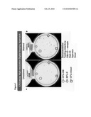 HIGH THROUGHPUT SYSTEM FOR CFU ASSAY BY THE USE OF HIGH RESOLUTION DIGITAL IMAGING, DIFFERENTIAL STAINING AND AUTOMATED LABORATORY SYSTEM diagram and image