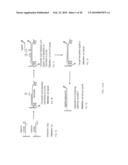 Making nucleic acid sequences in parallel and use diagram and image