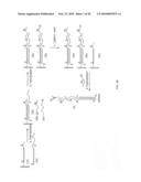 Making nucleic acid sequences in parallel and use diagram and image