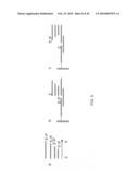 Making nucleic acid sequences in parallel and use diagram and image