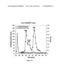 TYPE III T. BRUCEI ARGININE METHYLTRANSFERASE diagram and image