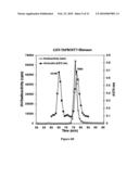 TYPE III T. BRUCEI ARGININE METHYLTRANSFERASE diagram and image