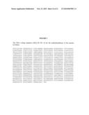 TYPE III T. BRUCEI ARGININE METHYLTRANSFERASE diagram and image