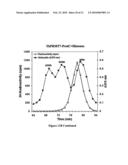 TYPE III T. BRUCEI ARGININE METHYLTRANSFERASE diagram and image