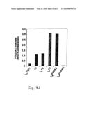 Process for producing modified reconstituted sendai viral envelope specific for drug and/or gene delivery to liver cells diagram and image