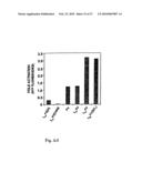 Process for producing modified reconstituted sendai viral envelope specific for drug and/or gene delivery to liver cells diagram and image