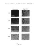 Process for producing modified reconstituted sendai viral envelope specific for drug and/or gene delivery to liver cells diagram and image