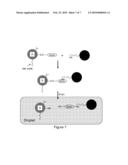 Bead Sorting on a Droplet Actuator diagram and image