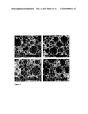 SUBSTRATE FOR THE GROWTH OF CULTURED CELLS IN THREE DIMENSIONS diagram and image