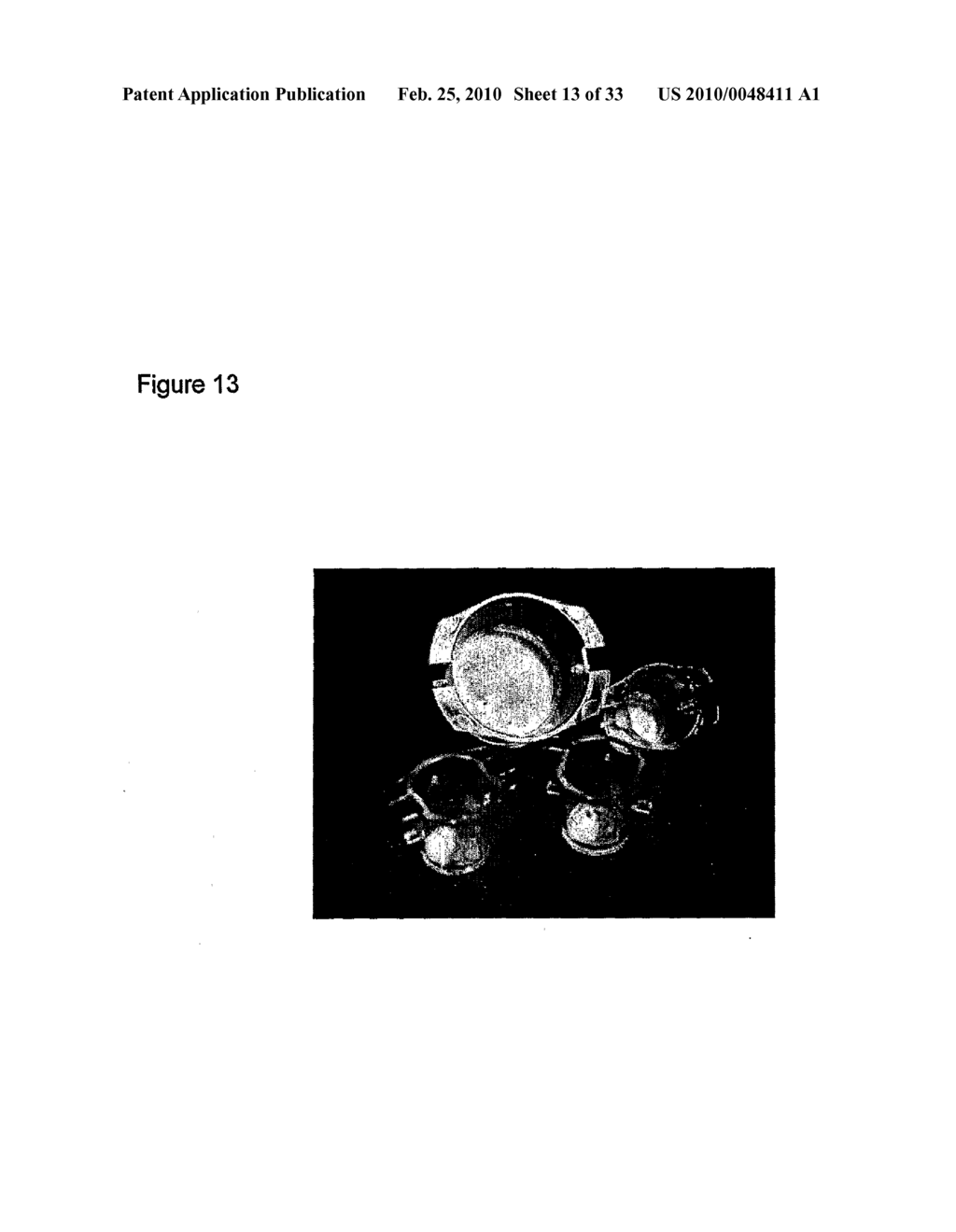 SUBSTRATE FOR THE GROWTH OF CULTURED CELLS IN THREE DIMENSIONS - diagram, schematic, and image 14