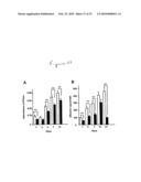 SUBSTRATE FOR THE GROWTH OF CULTURED CELLS IN THREE DIMENSIONS diagram and image