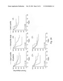 NOVEL METHODS FOR PREDICTING AND TREATING TUMORS RESISTANT TO DRUG, IMMUNOTHERAPY, AND RADIATION diagram and image