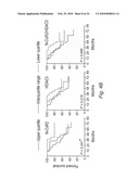 NOVEL METHODS FOR PREDICTING AND TREATING TUMORS RESISTANT TO DRUG, IMMUNOTHERAPY, AND RADIATION diagram and image