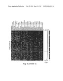 NOVEL METHODS FOR PREDICTING AND TREATING TUMORS RESISTANT TO DRUG, IMMUNOTHERAPY, AND RADIATION diagram and image