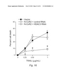 NOVEL METHODS FOR PREDICTING AND TREATING TUMORS RESISTANT TO DRUG, IMMUNOTHERAPY, AND RADIATION diagram and image