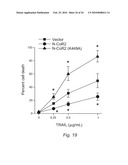 NOVEL METHODS FOR PREDICTING AND TREATING TUMORS RESISTANT TO DRUG, IMMUNOTHERAPY, AND RADIATION diagram and image